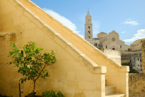 Lemon plant moved by the wind in Matera Matera alley with lemon plant and church. A Mediterranean courtyard with leaves of a small tree blowing in the wind. - MyVideoimage.com | Foto stock & Video footage