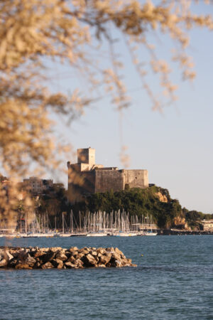 Lerici castello sul mare. Foto con panorama del castello e il porto turistico. Immagini di mare. Fiori della pianta di Tamerice. - MyVideoimage.com | Foto stock & Video footage