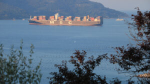 MSC cargo container ship departing. Olive leaves in the foreground. The Gulf in the Mediterranean Sea with Islands in the background light of dawn. - MyVideoimage.com | Foto stock & Video footage