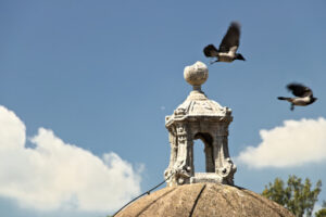 Magpies. Two magpies on the roof of a castle - MyVideoimage.com | Foto stock & Video footage