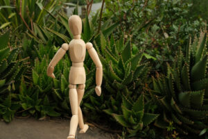 Manichino con spine. Wooden mannequin in the midst of aloe vera plants. Mediterranean garden with thorny leaves of succulents and model. - MyVideoimage.com | Foto stock & Video footage