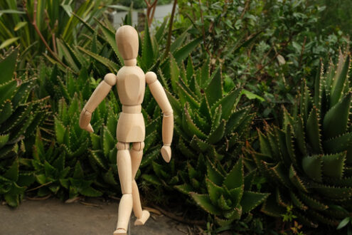 Manichino con spine. Wooden mannequin in the midst of aloe vera plants. Mediterranean garden with thorny leaves of succulents and model. - MyVideoimage.com | Foto stock & Video footage