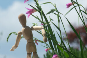 Mannequin with flowers. Wooden mannequin with pink wild gladiolus flowers. A Mediterranean garden with Gladiolus italicus bulbs blooming in spring with the sky background. - MyVideoimage.com | Foto stock & Video footage