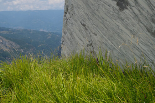 Marble block. Block of white veined marble resting on a green lawn in the Apuan Alps. Stock photos. - MyVideoimage.com | Foto stock & Video footage