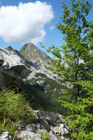 Marble mountain. Mountains of the Apuan Alps between Monte Pisanino and Monte Cavallo. Stock photos. - MyVideoimage.com | Foto stock & Video footage