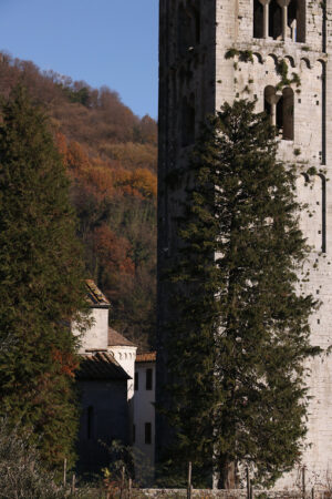 Medieval church. Church of Santa Maria Assunta, Diecimo, Lucca, Tuscany, Italy. - MyVideoimage.com | Foto stock & Video footage