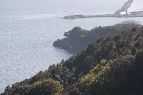 Mediterranean landscape with sea, trees and hills of Liguria. Nature near the Cinque Terre. - MyVideoimage.com | Foto stock & Video footage