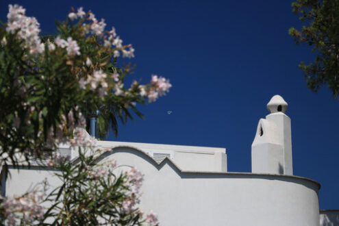 Mediterranean style house painted white. Chimneys with blue sky background. Close up with oleander bush in bloom. Ischia, near Naples, Italy. - MyVideoimage.com