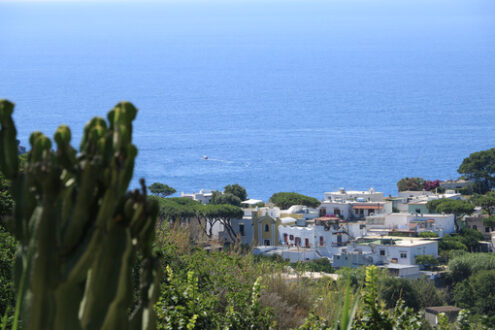 Mediterranean village on the island of Ischia. Near Sant’Angelo. Foto Ischia photos.