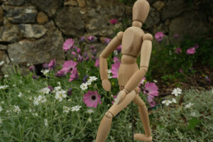 Modello in movimento. Wooden mannequin in the midst of spring flowers. Mediterranean garden with daisy with white and pink flowers and rotating model. - MyVideoimage.com | Foto stock & Video footage