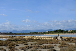 Molentargius park. Molentargius park with salt flats. Stock photos. - MyVideoimage.com | Foto stock & Video footage