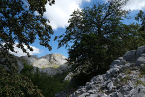 Montagne Toscana. Mountains of the Apuan Alps between Monte Pisanino and Monte Cavallo. Foto stock royalty free. - MyVideoimage.com | Foto stock & Video footage