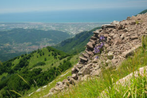 Monte Matanna. Versilia panorama from Monte Matanna, Alpi Apuane. Stock photos. - MyVideoimage.com | Foto stock & Video footage