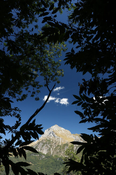 Monte Pania. Alpi Apuane. Toscana. Alpi Apuane, Forte dei Marmi, Lucca, Tuscany, Italy. Monte Pania della Croce. - MyVideoimage.com | Foto stock & Video footage