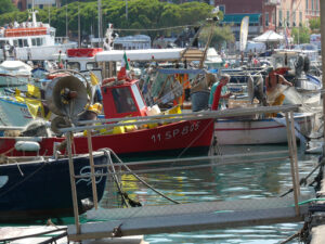 Moored boats. Colorful fishing boats moored at the harbor. - MyVideoimage.com | Foto stock & Video footage