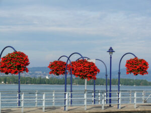 Morges, Switzerland. Vases of red flowers in the city on Lake Ge - MyVideoimage.com