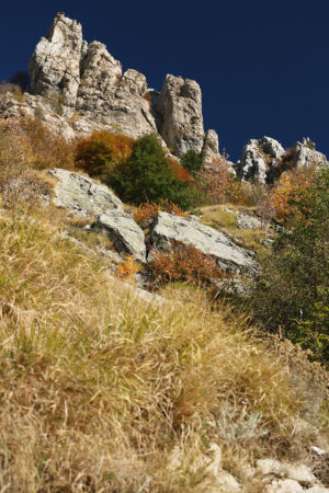 Mountain colors. Alpi Apuane. Tuscany. Alpi Apuane, Massa Carrara, Tuscany, Italy. Autumn vegetation. - MyVideoimage.com | Foto stock & Video footage