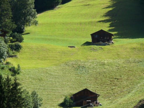 Mountain hut in green meadow. - MyVideoimage.com