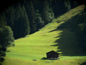 Mountain hut in green meadow. - MyVideoimage.com