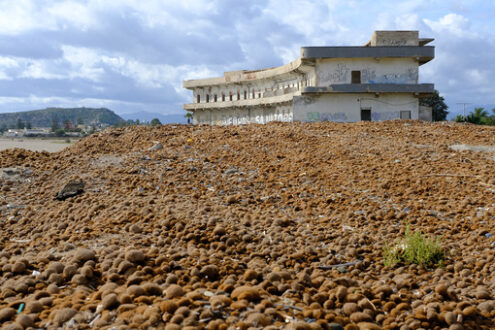 Mountain of debris. Heap of sea balls or neptune balls. Stock photos. - MyVideoimage.com | Foto stock & Video footage