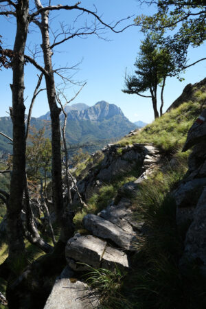 Mountain trail on the Apuan Alps. This is the path that leads from Cervaiole to Passo del Vaso Tondo. - MyVideoimage.com | Foto stock & Video footage