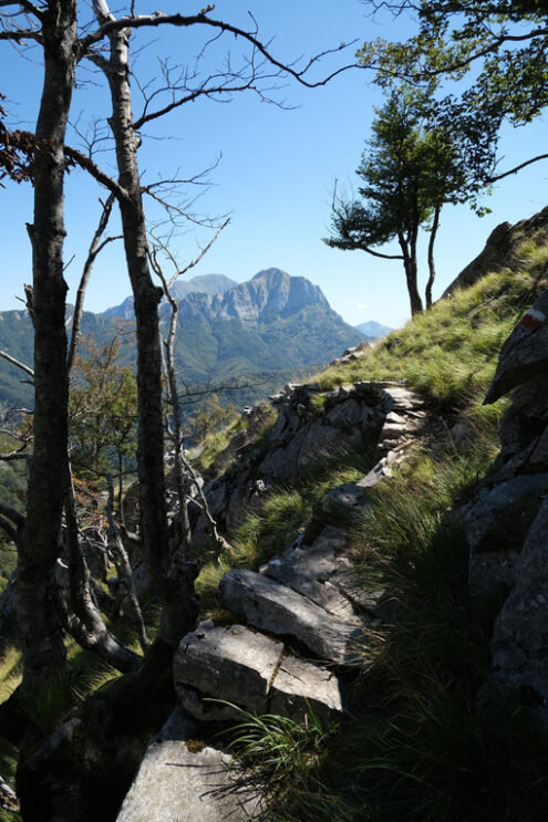 Mountain trail on the Apuan Alps. This is the path that leads from Cervaiole to Passo del Vaso Tondo. - MyVideoimage.com | Foto stock & Video footage
