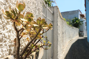 Narrow pedestrian street with white painted wall in southern Ita - MyVideoimage.com