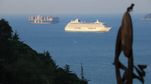 Navi all’alba. Golfo di La Spezia. Serenity cruise ship and MSC container ship with olive leaves and sculpture.The Gulf in the Mediterranean Sea with Islands in the background light of dawn. - MyVideoimage.com | Foto stock & Video footage