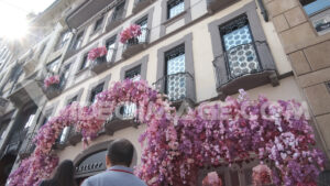 Negozio di moda video stock. Facade of the shop with a large bush of rose-colored artificial roses.  Video footage.