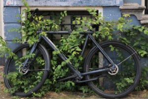 Old bicycle half-hidden by leaves of a climbing plant. - MyVideoimage.com