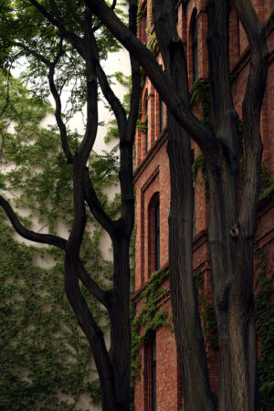 Old building with brick facade with trees - MyVideoimage.com