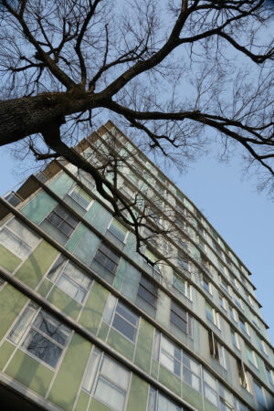 Old glass facade. Front of a building from the 60s-70s of the twentieth century with an aluminum and glass facade and a tree without leaves. - MyVideoimage.com | Foto stock & Video footage