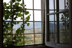 Old window with Tuscan landscape near Florence. A climbing plant on the railing. - MyVideoimage.com