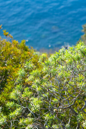 Paesaggio marino della Liguria. Panorama con il mare delle Cinque Terre. - MyVideoimage.com | Foto stock & Video footage