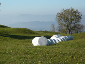 Paesaggio surreale. Surreal landscape. Countryside with trees, lawn and parcels covered in white plastic. - MyVideoimage.com | Foto stock & Video footage