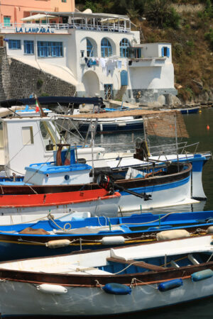 Paese di pescatori. Boats anchored in the port of Corricella on the Island of Procid - MyVideoimage.com | Foto stock & Video footage