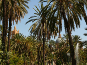 Palermo, Sicily, Italy. Mediterranean garden with palm trees and - MyVideoimage.com