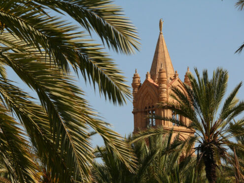 Palermo, Sicily, Italy. Mediterranean garden with palm trees and - MyVideoimage.com