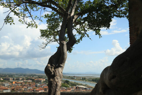 Panorama from the village of Castiglione della Pescaia in the Tu - MyVideoimage.com