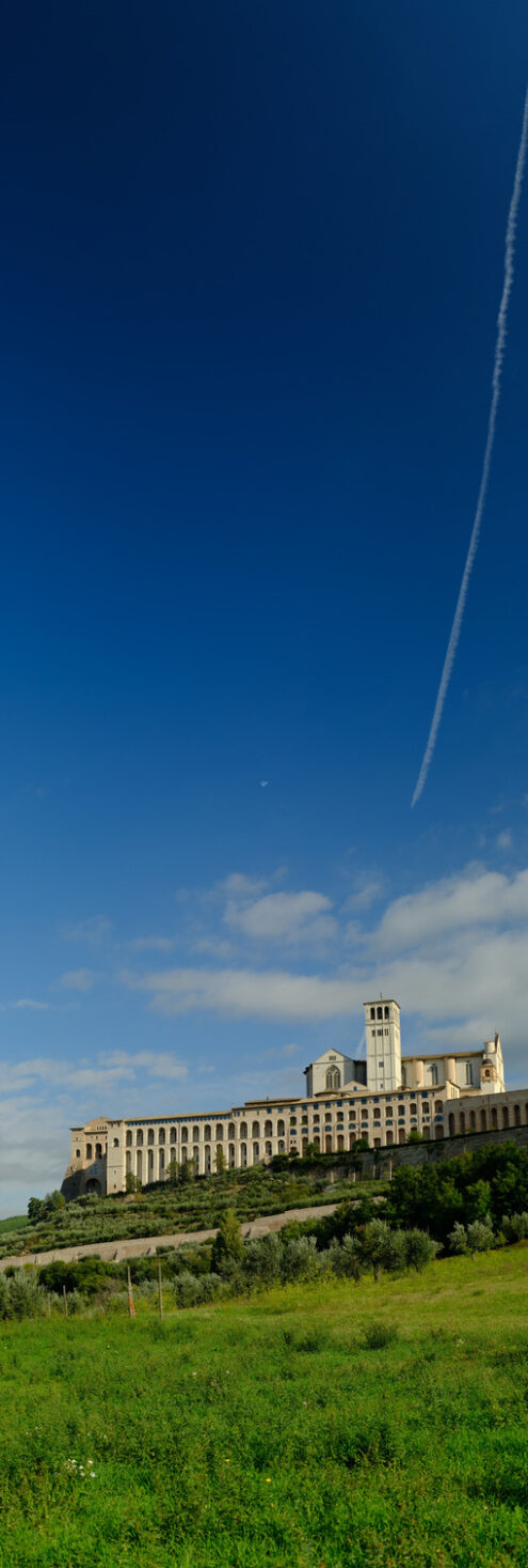 Panoramic photo of the convent and church of San Francesco in Assisi. The architecture immersed in the countryside with cultivation of olive trees. - MyVideoimage.com | Foto stock & Video footage