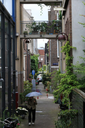 Pedestrian street with houses and climbing plants. A woman with - MyVideoimage.com | Foto stock & Video footage