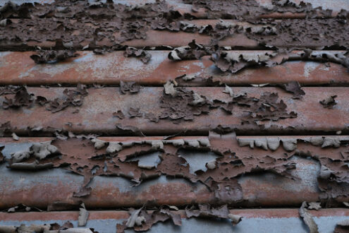 Peeled paint on a rusty shutter. This photo shows the paint peeling off the iron slats of a shutter. - MyVideoimage.com | Foto stock & Video footage