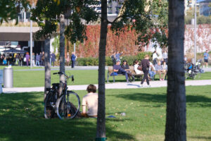 People at the park. People rest lying on the green grass in the park under the trees. CityLife Milan Residential Complex. - MyVideoimage.com | Foto stock & Video footage