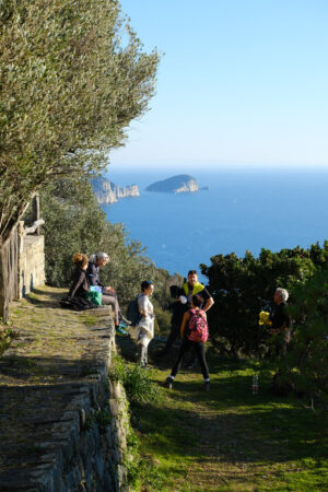 People on the trail. People on a Sunday trip on the paths of the Cinque Terre in Liguria. Background with Palmaria island. - MyVideoimage.com | Foto stock & Video footage