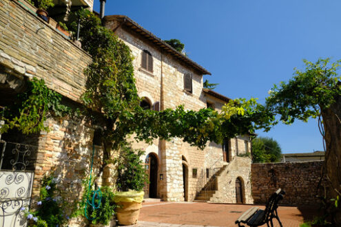 Pergolato con vite rampicante. Assisi, Umbria. Alley of the city of Assisi with stone facades of historic houses. Arbor with climbing vine plant and flags on the walls of buildings. - MyVideoimage.com | Foto stock & Video footage