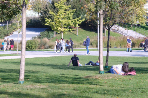 Persone al parco. People rest lying on the green grass in the park under the trees. CityLife Milan Residential Complex. - MyVideoimage.com | Foto stock & Video footage