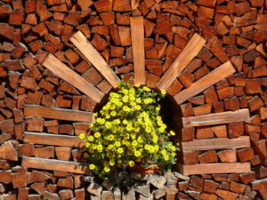 Pile of firewood with vase of yellow flowers - MyVideoimage.com