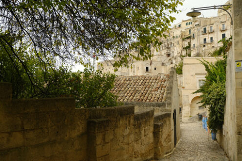 Plants whit green leaves. Plants with green leaves in a street of the city of Matera in southern Italy. View of the houses built in tuff stone. - MyVideoimage.com | Foto stock & Video footage