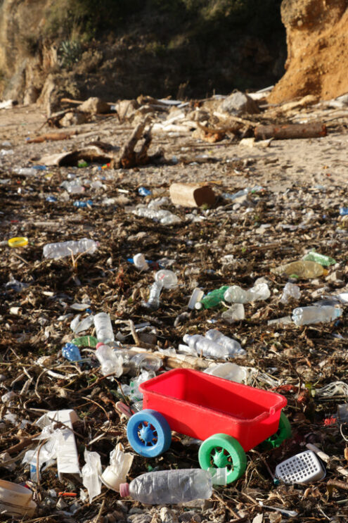 Plastic waste on the beach. Plastic waste deposited from the sea on the beach after the storm. - MyVideoimage.com | Foto stock & Video footage