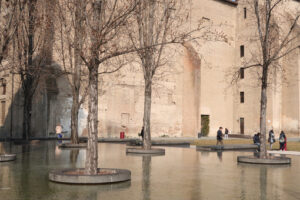 Poplar trees in a tub of water. In the background the Palazzo della Pilotta in Parma. - MyVideoimage.com